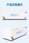 Supply High Quality Commercial Freezer / Commercial Refrigerator
