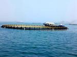 Polyethylene HDPE Fish Cage for Deep Sea and Lake Farming