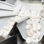 Fresh Green Salad Vegetable Packaging Machine Vffs Multi-Weigher Bagging Machine