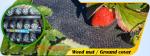 Supply heavy duty 100% virgin anti grass weed barrier/garden weed barrier cloth