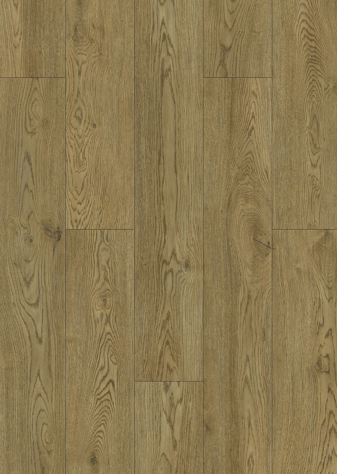 Waterproof Rigid PVC Vinyl SPC Flooring Plank Unilin Click Oak GL-W7235-2