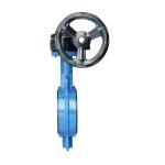 Di/Nylon/1.4469/1.4529//2507/CF8/CF8m Disc Material Wafer Lug Butterfly Valve