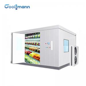 China Commercial Cold Room Freezer Container For Frozen Vegetable And Fish Seafood wholesale