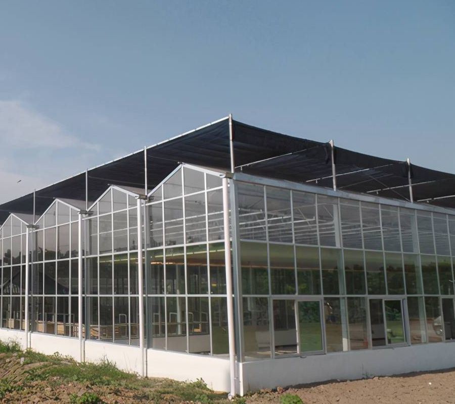 Intelligeng and Agricultural Glass Greenhouse Aquaponics Vegetable Multi-Function Glass Greenhouse
