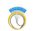 12 Cores Fan Out Fiber Optic Pigtail Waterproof , SC PC Pigtail For Couples