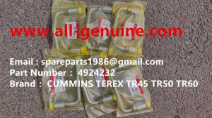 China CUMMINS 4924232 NHL DUMP TRUCK TR35 TR50 TR60 TR100 3305B 3305F 3303 3307 TR45 TR70 TEREX ALLISON UNIT RIG MT4400 wholesale