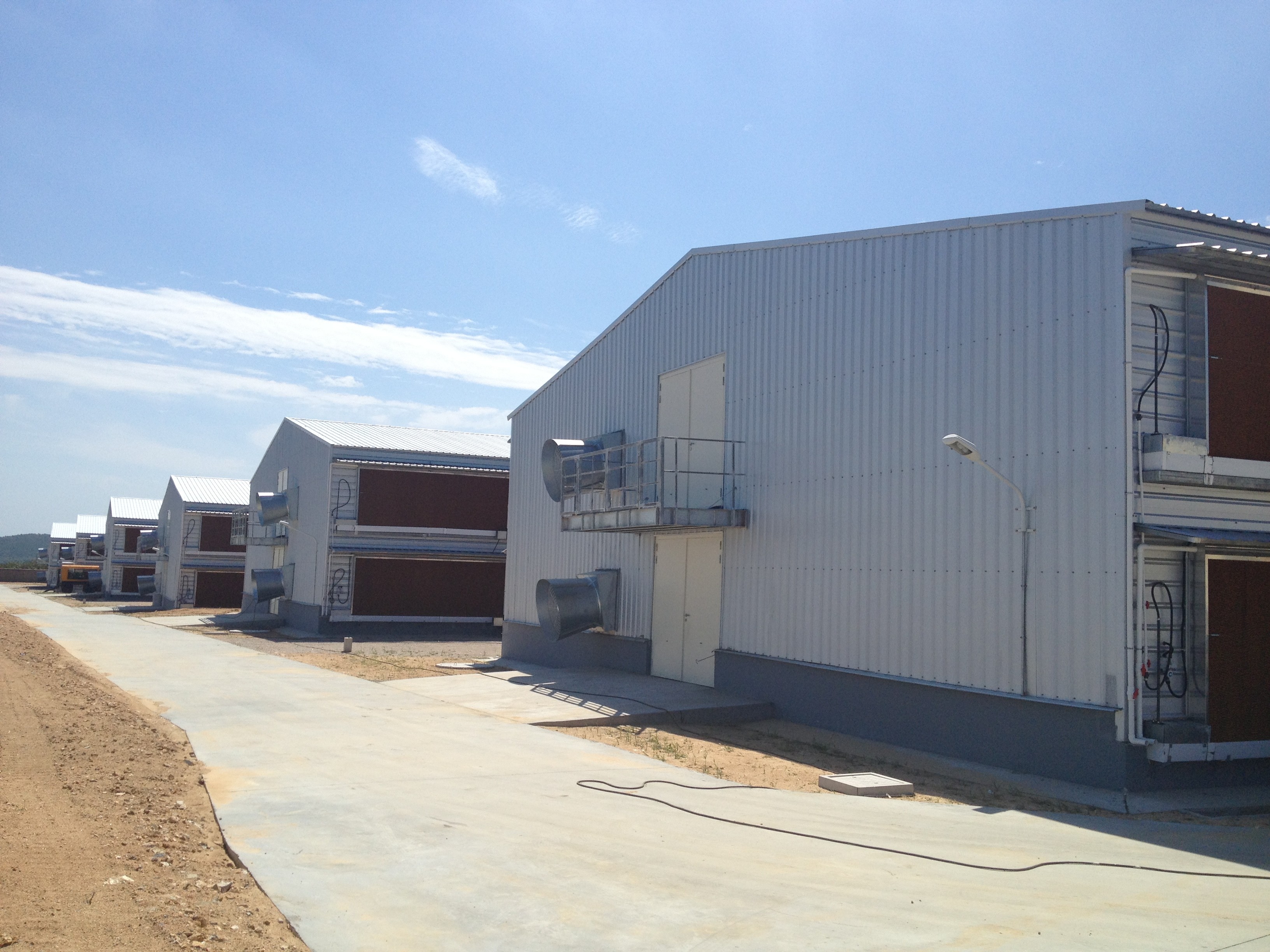Galvanized Steel Frame Chicken House Bolts Connection Steel Structure Poultry Sheds