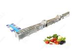 380V CE Certified Stainless Steel Commercial Fruit And Vegetable Washing