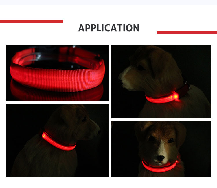 Glow In Night Waterproof Light Up Dog Collar Usb Rechargeable Dog Collar