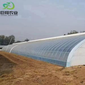 China Hot-DIP Galvanized Steel Pipe Agricultural Film Hydropoinics Greenhouses Building Material wholesale