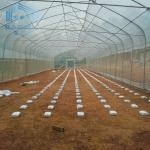 agriculture Plants Round Tunnel Single-span Side Ventilation Tunnel Plastic