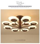 The 2018 new fashion iron + aluminum alloy plus acrylic interior lights 30W /