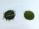 Crispy Green Dry Aonori Powder Dried Seaweed Powder Rich in Minerals and