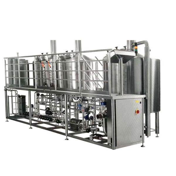 GHO Stainless Steel 304 Conical Fermentor Minitype Tank Perfect for Your