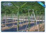 Enviro Anti UV Polypropylene Garden Weed Control Fabric / Mat for LandscapeAgric
