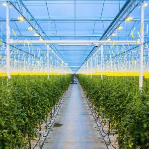 China Agricultural Galvanized Steel Frame Solar PV Greenhouse wholesale
