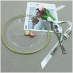10.25 Inch Disposable Clear Plastic Salad/Dessert Plates- Premium Hard Plastic
