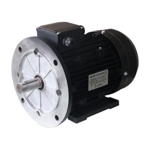 China EFF2 Three Phase Electric Motor IP55 AC Induction 2 4 Pole Aluminum wholesale