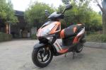 EEC DOT EPA PALADIN Ⅶ 50cc Gas 2-stroke 4-stroke single-cylinder air-cooled