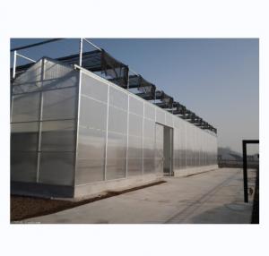 China Strong Resistance Multi Span Venlo PC Sheet Greenhouse Arch Polycarbonate Greenhouse wholesale