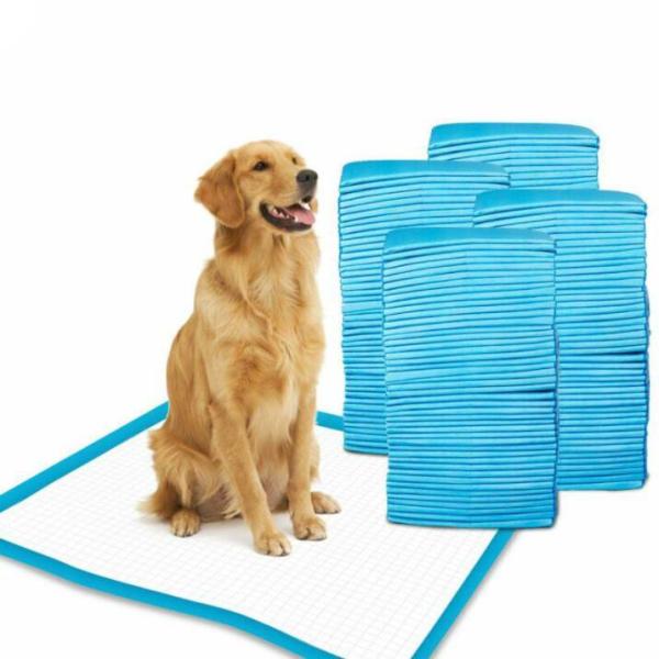 S&J Dog Cat Super Absorbent Pet Training Pads Puppy Pee Pad Disposable Pet Potty