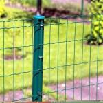 Europe Standard Holland Farm Wire Mesh Fence Pvc Coated Welded Wire Fence
