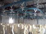 5 Ton Overhead Conveyor Chain Industrial Hanging Trolley System Customized