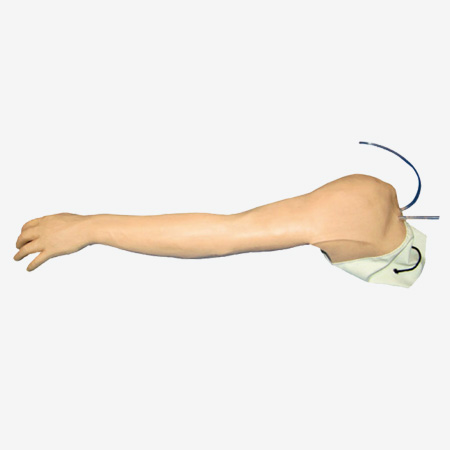 Full - functional venipuncture training arm For Nursing College , iv practice arm