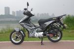 Powerful Engine 4 Stroke 125cc Street Legal Motorcycle 501W - 1000W