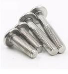 Stainless Steel SS 304 316Made Easy with Secure Carriage Bolt DIN603