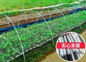 China 10mm Fiber Reinforced Plastic Rod Flexible Fiberglass Rods For Green House Planting wholesale