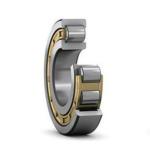 Full Complement Cylindrical Roller Bearings NJ205 NJ220 NJ200 Series