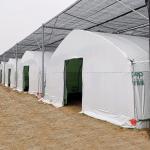 Agriculture Chinese Organic Mushroom Management Greenhouse Single-Span