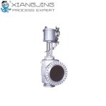 500M VeCTor M Trim Globe Valve for KOSO