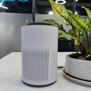 China 10M2 Low Noise Clean Air Home Air Purifiers 6W Plasma Hepa Home Air Filter ≤55dB wholesale