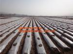 GARDEN GREENHOUSE AGRICULTURAL PLASTIC MULCH FILM, 100% PP/PE Woven Agriculture