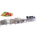 Industrial Fruit Vegetable Processing Machine Orange Mango Cleaning Drying