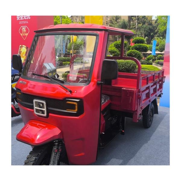 Front Drum Rear Drum Brake System 250cc Closed Body Adult Three Wheel Cargo