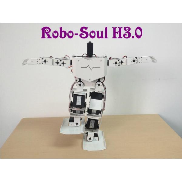 Robotics equipment Large torque digital servo Support 17 DOF Humanoid robot