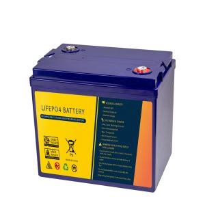 China Rechargeable 48V 30Ah Lightweight Motorcycle Battery For Starting on sale