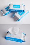 Cleaning Hand Sanitizing Wipes Individually Wrapped Disposable For Adult
