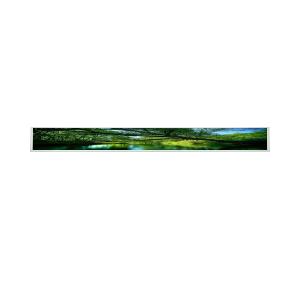 China G229HAF02.0 22.9 inch 1920×165 Stretched Bar LCD Panel for AUO wholesale