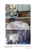 Johnson Tools Manufactory Co.,Ltd Certifications