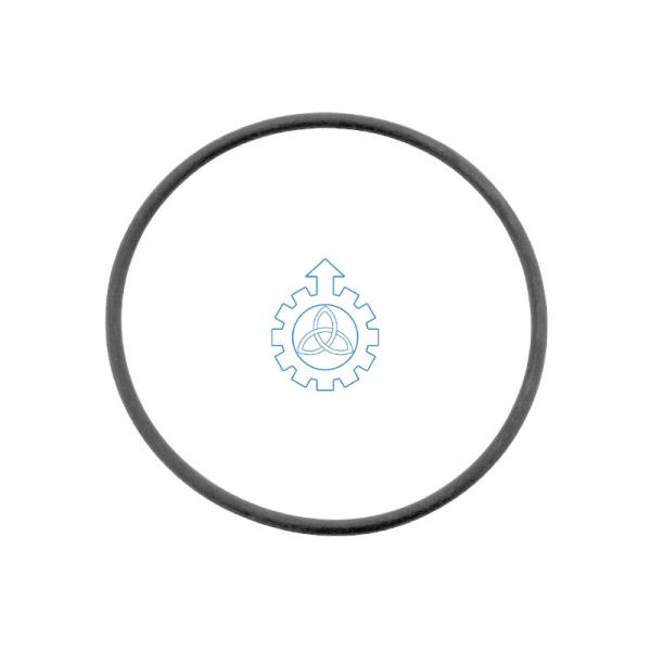 O-ring 5000821654,177431,191681,234338