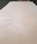 Full Birch Plywood