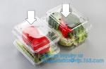 Blister Packaging Food Container,Disposable Blister Fruit Salad Container