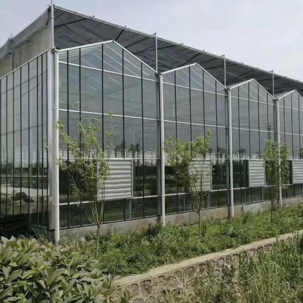 Greenhouse Hydroponics Growing System for Vegetables Flowers