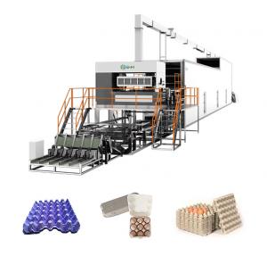 China Automated Egg Box Making Machine Egg Tray Production Line CE on sale