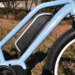 1:1 PAS Electric Fat Tire Mountain Bike Light Blue Color 48V 15A Controller