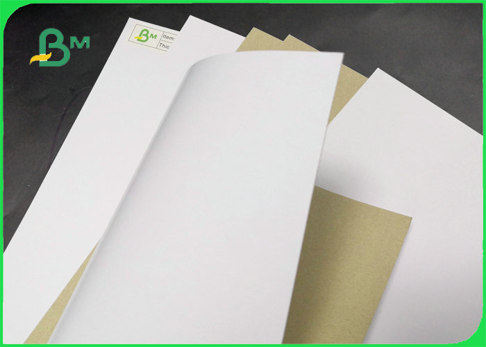 FSC Certified One Side Duplex Clay Coated Paper Folding Strength 250gsm 300gsm